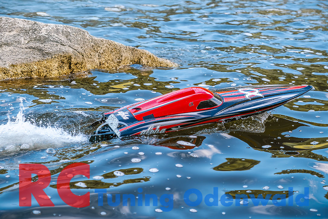 RC Tuning Odenwald Joysway Alpha 1086 04