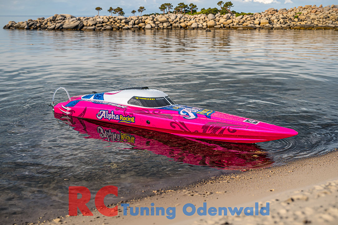 RC Tuning Odenwald Joysway Alpha SR 1086 01